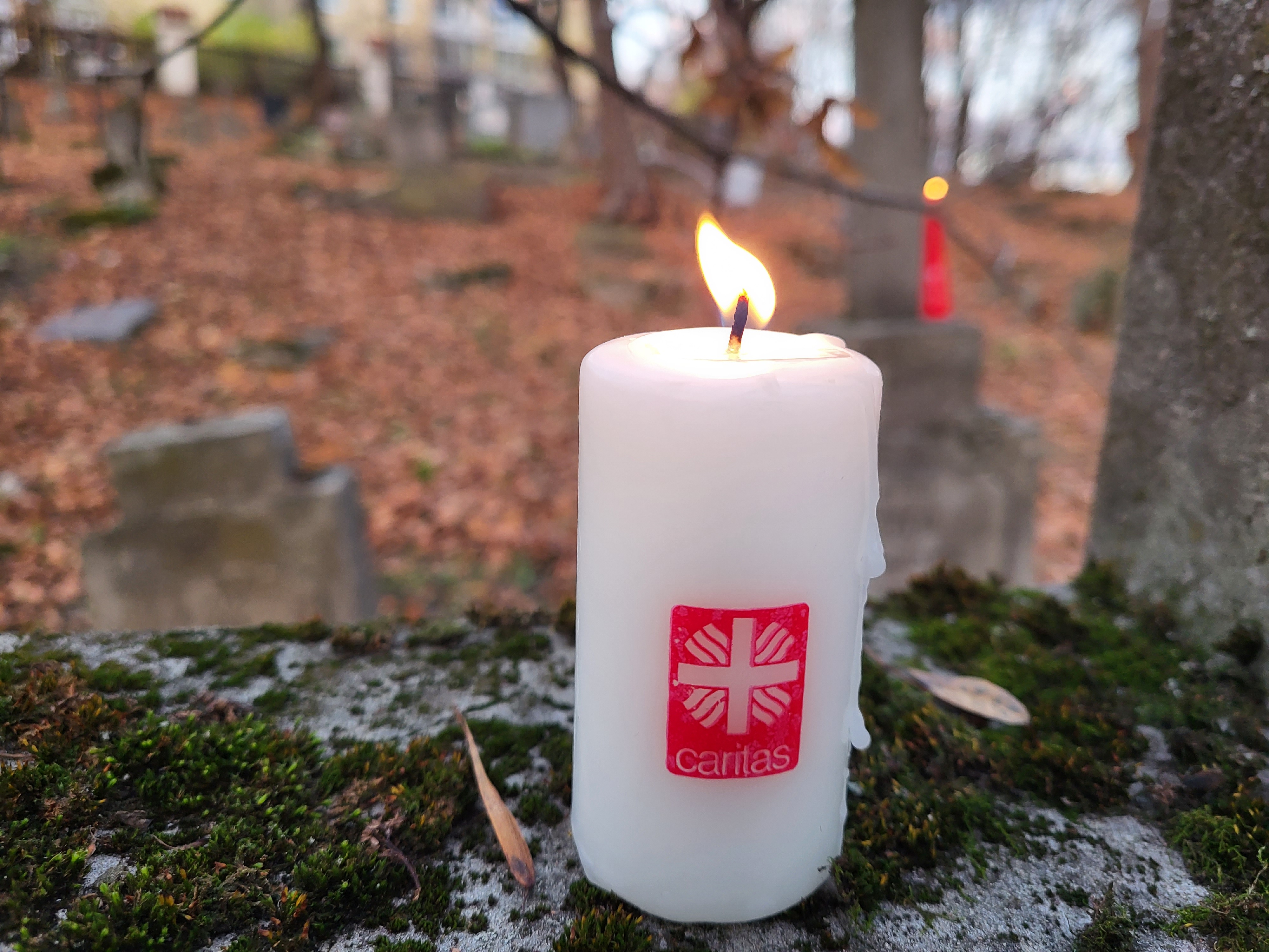 Maldoje prisimename Caritas bendradarbius ir savanorius